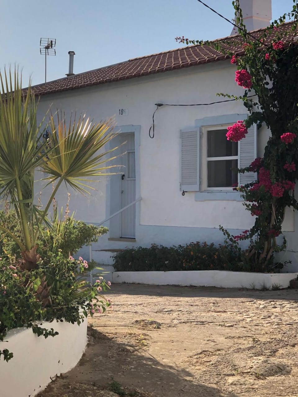 Property building, Garden view