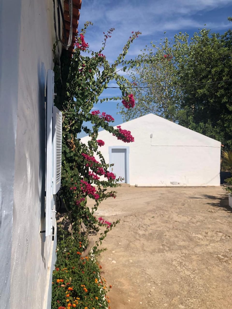 Property building, Day