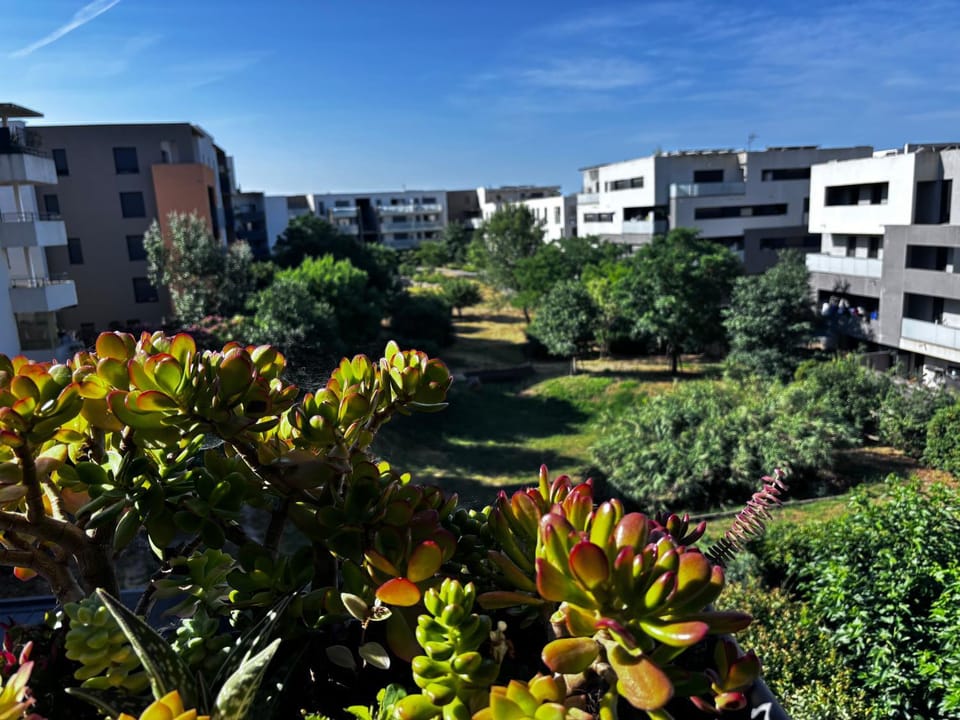 Montpellier Un écrin de lumière pour enchanter votre séjour Apartment in Saint-Jean-de-Védas