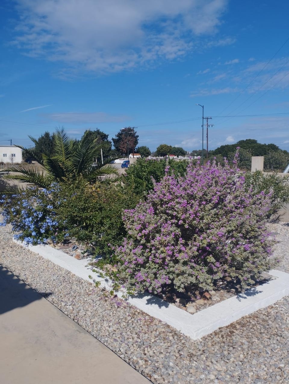The Garden House Apartment in Kos, Greece