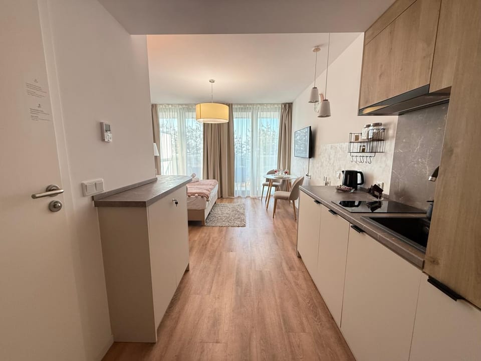 Kitchen or kitchenette, Photo of the whole room, dishwasher