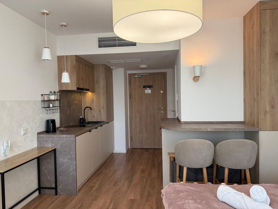 Kitchen or kitchenette, Photo of the whole room, air conditioner