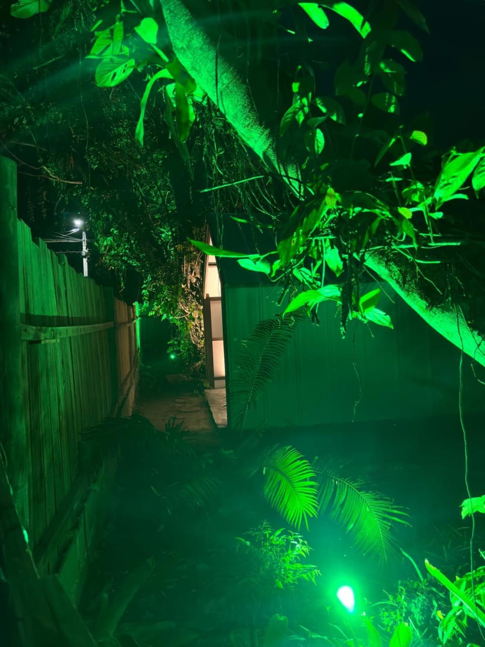 Garden view