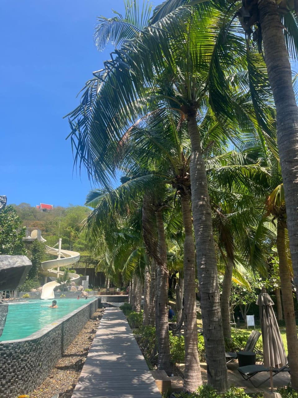 Garden, Garden view, Pool view, Swimming pool, Swimming pool, Public Bath