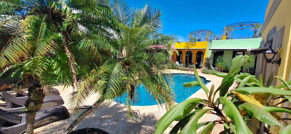 Pool view, Swimming pool