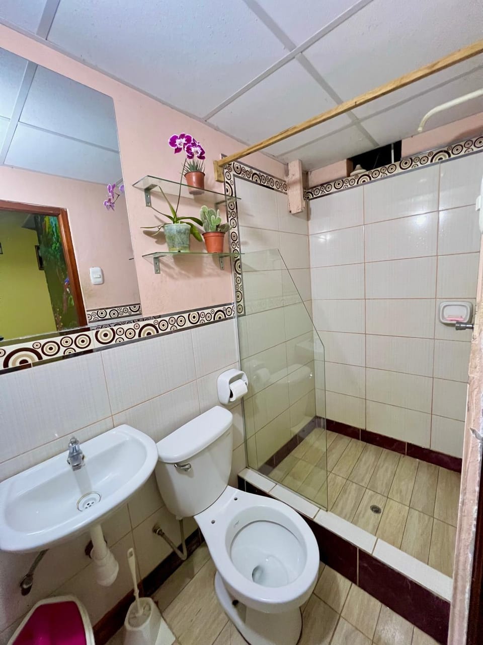 Shower, Toilet, Bathroom, bidet