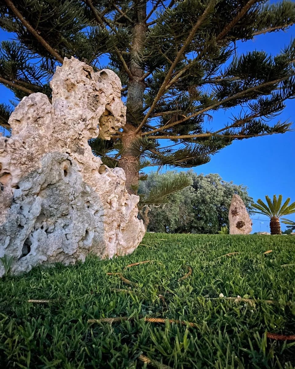 Agriturismo Tenuta Pozzello Bed and Breakfast in Torre dell'Orso