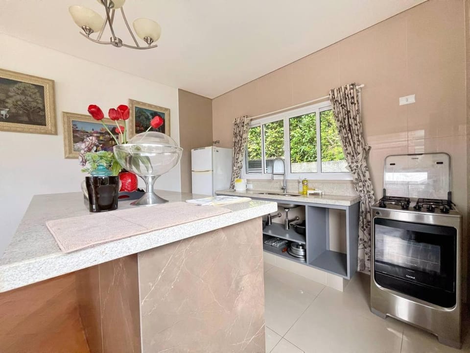 Kitchen or kitchenette, kitchen