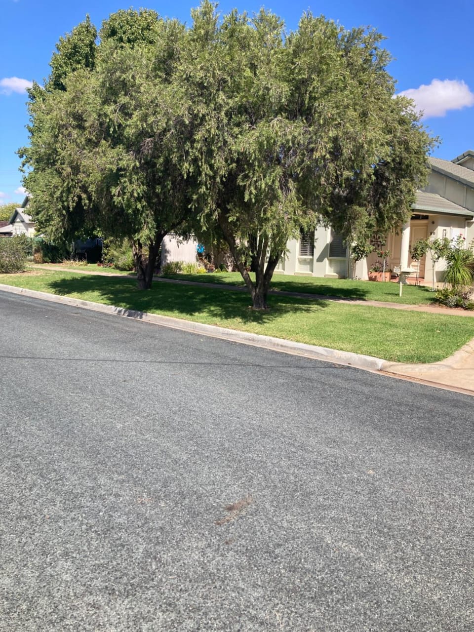 Neighbourhood, Street view, Parking