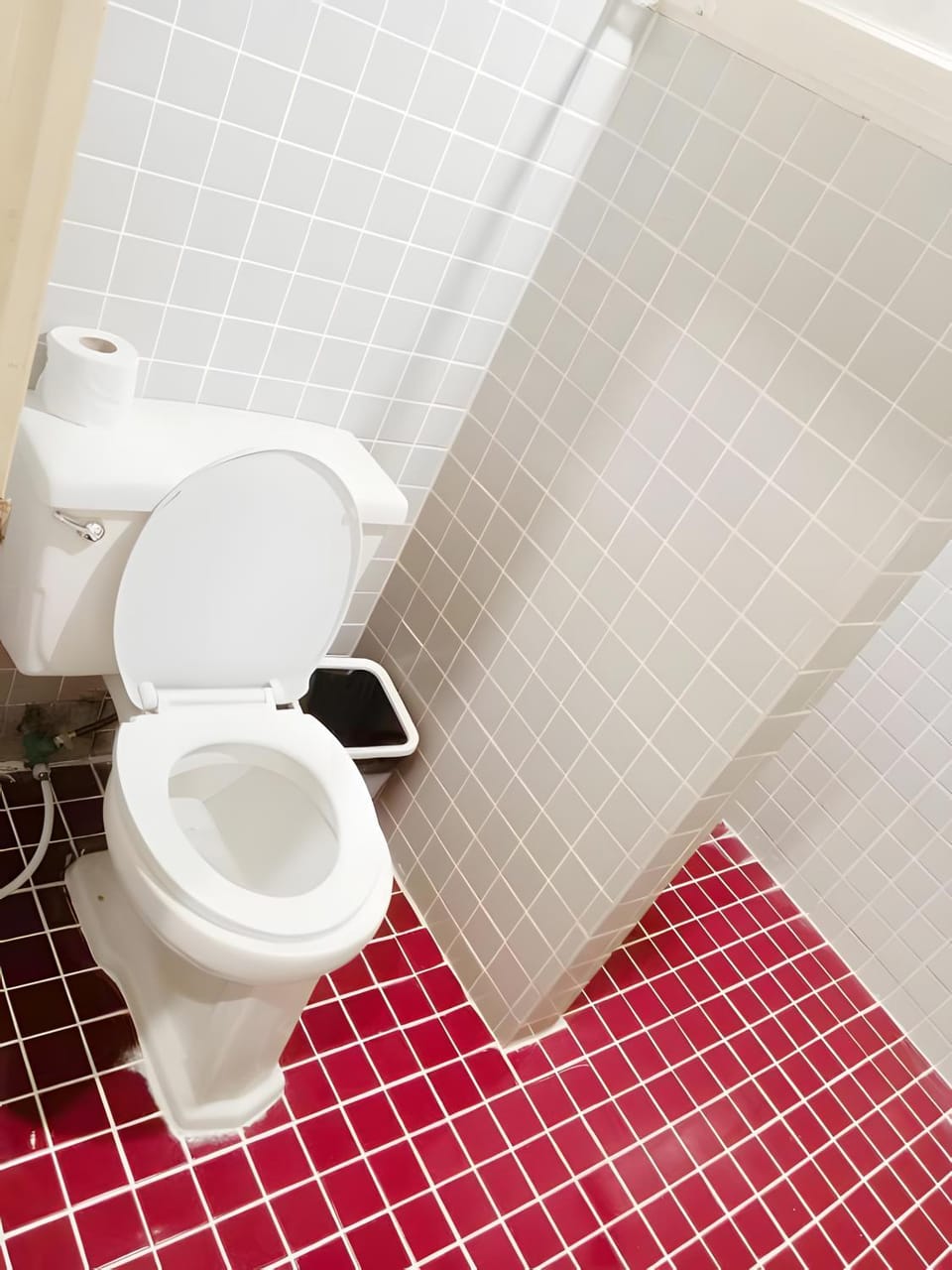 Shower, Toilet, Bathroom, bidet