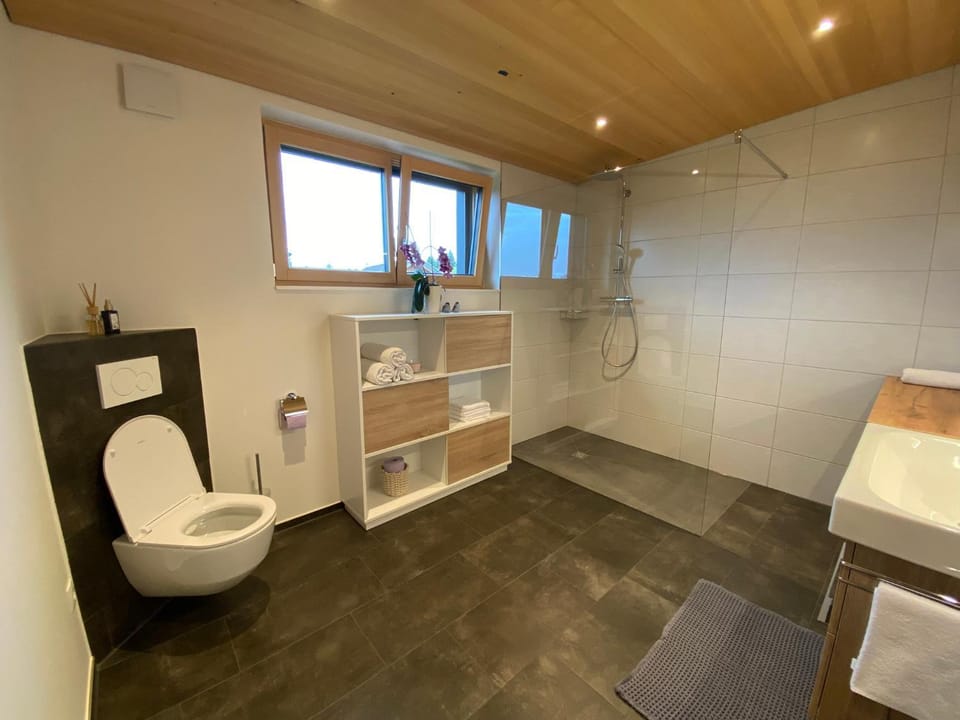 Shower, Toilet, Bathroom, towels