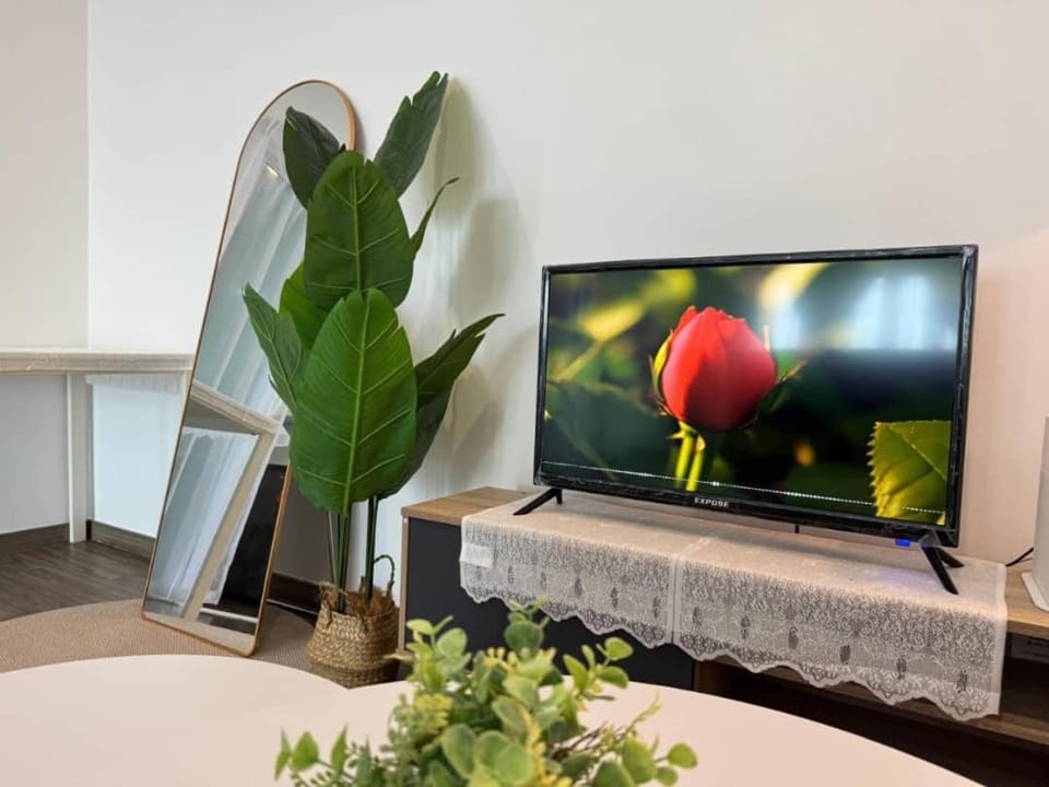 TV and multimedia