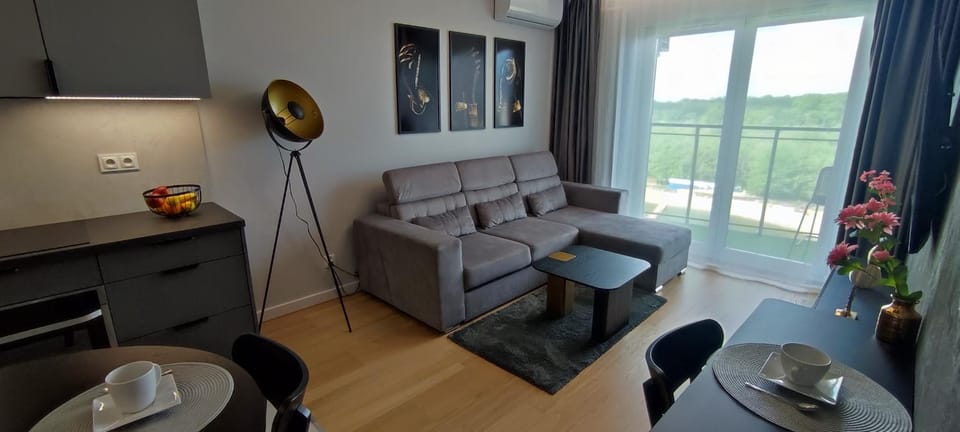 Kitchen or kitchenette, Living room, Seating area, Dining area