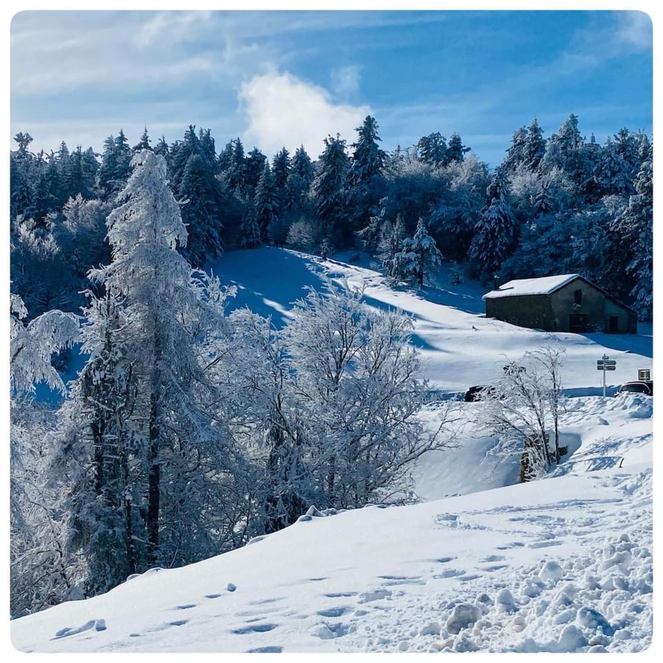 Natural landscape, Winter, Mountain view