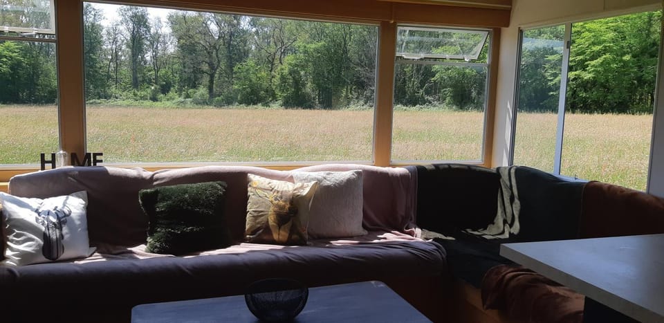 Natural landscape, Living room, Garden view