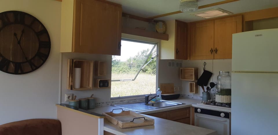 Kitchen or kitchenette, oven, pet friendly