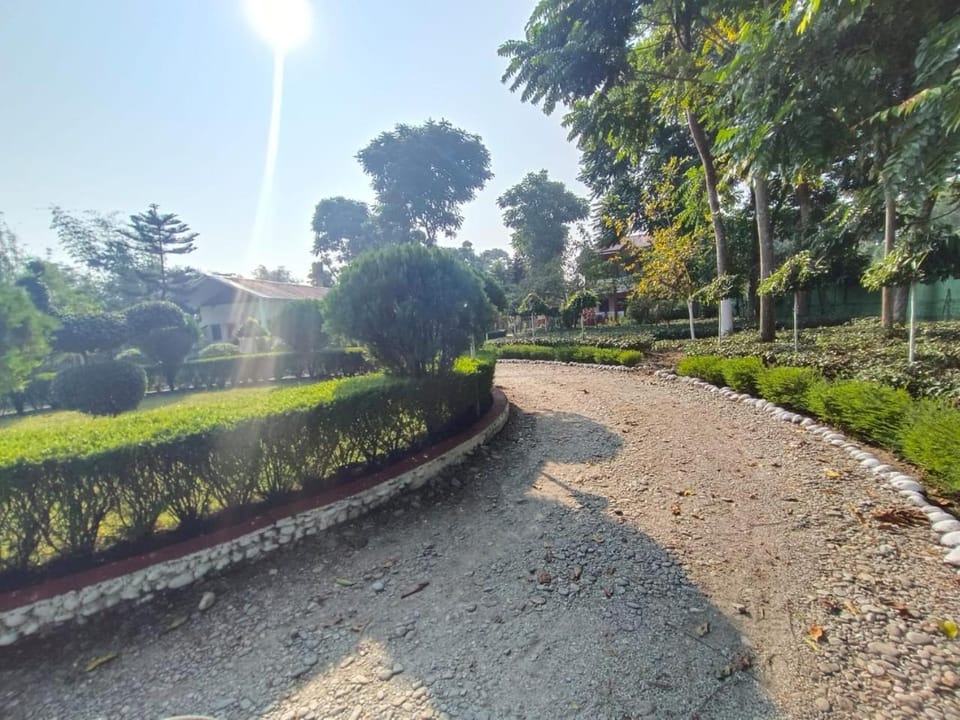 Day, Natural landscape, Garden