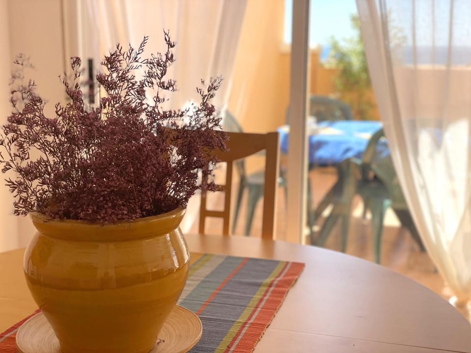 La Brisa de Terreros Apartment in Andalusia