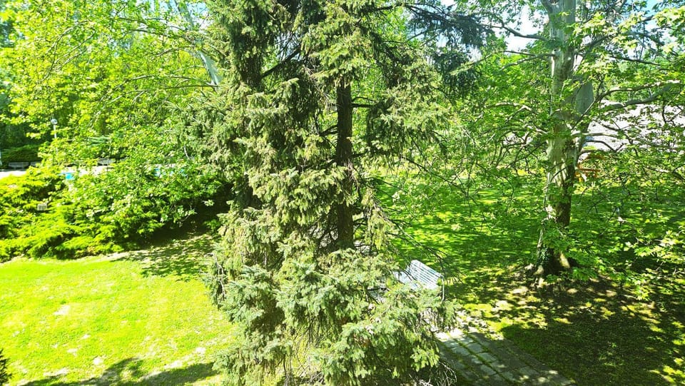 Garden, Garden, Garden view