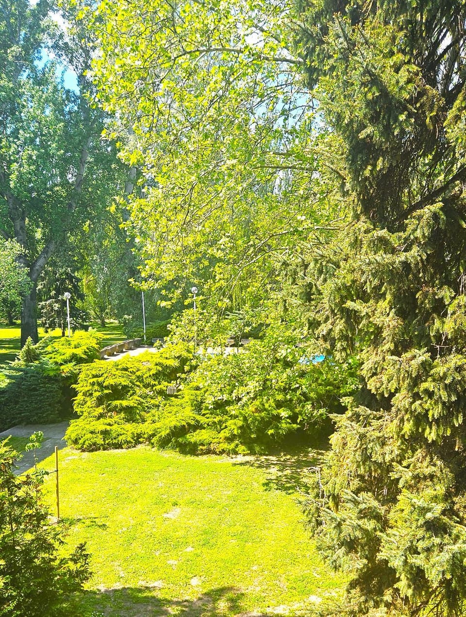 Garden, Garden, Garden view