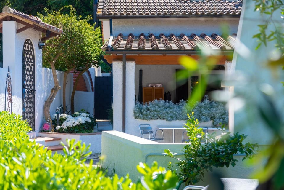 Property building, Garden, Garden view