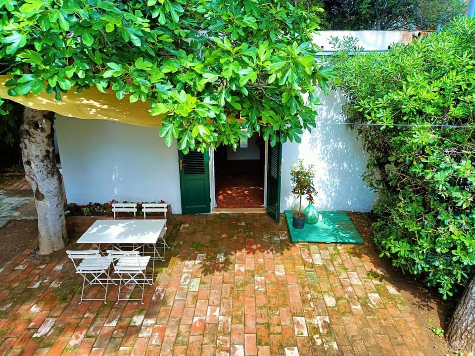 Palazzo Pitti Apartment in Rosignano Solvay