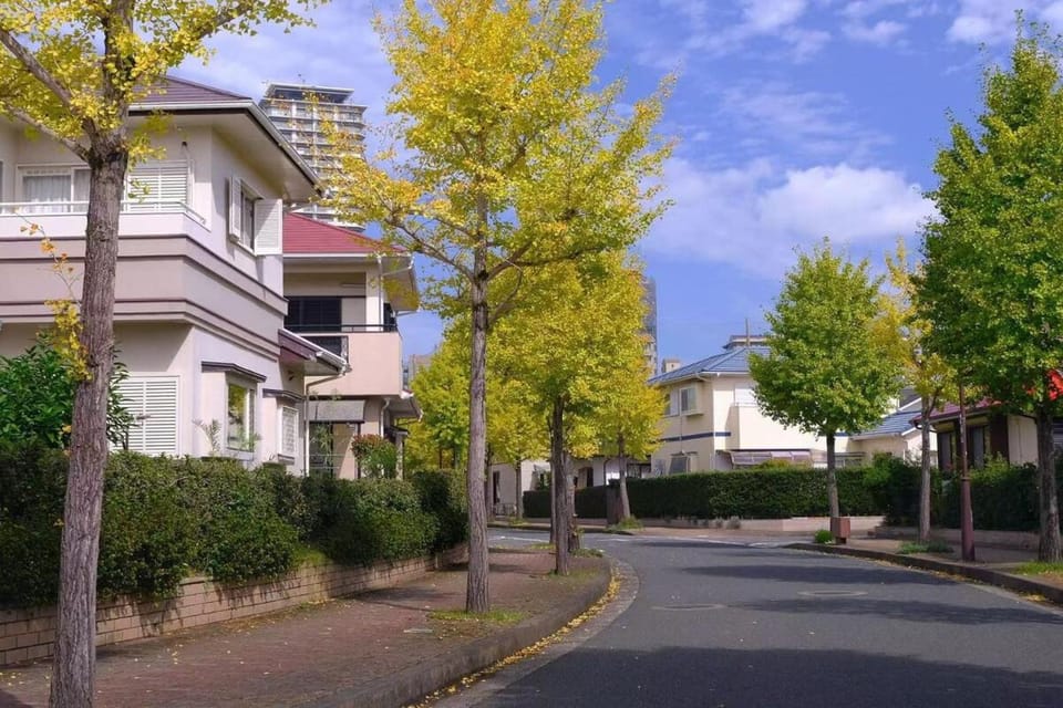 Neighbourhood, Street view