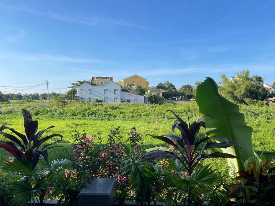 Day, Natural landscape, Garden, Garden view, Quiet street view