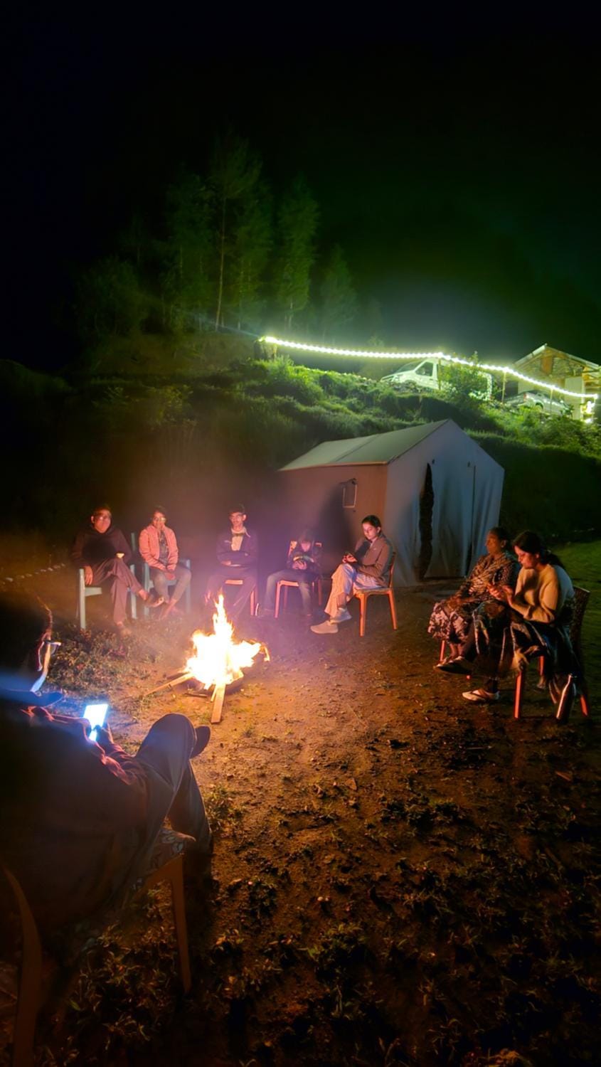 Night, People, group of guests
