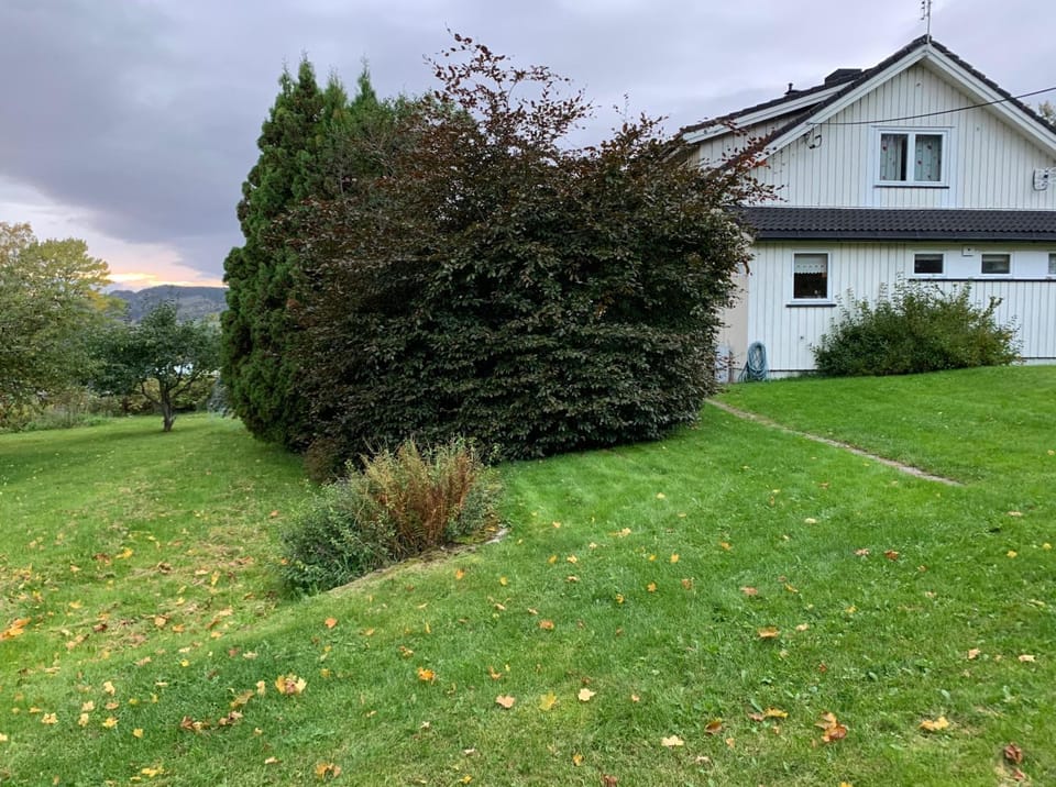 Property building, Garden
