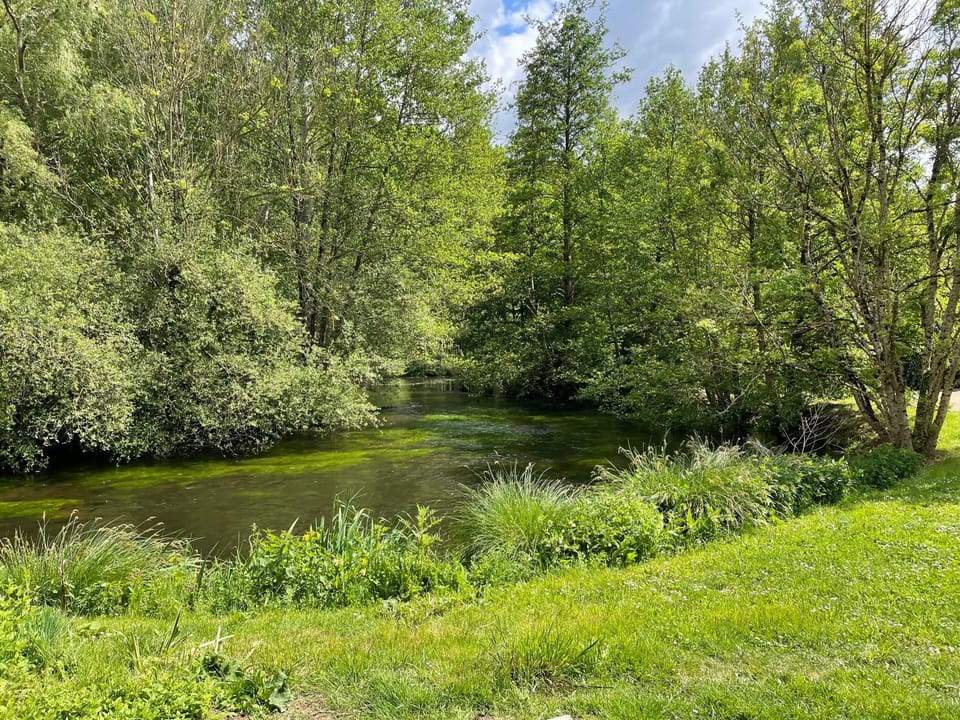 River view