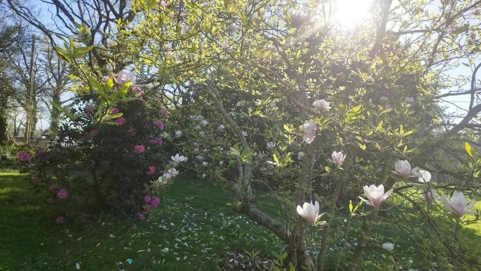 Gîte Lann Er Viline Connexion Wi-Fi gratuite House in Brittany