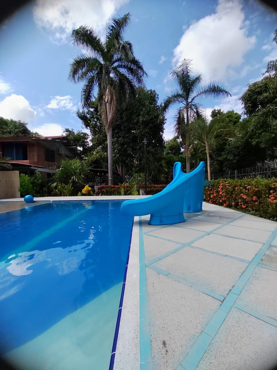 Swimming pool