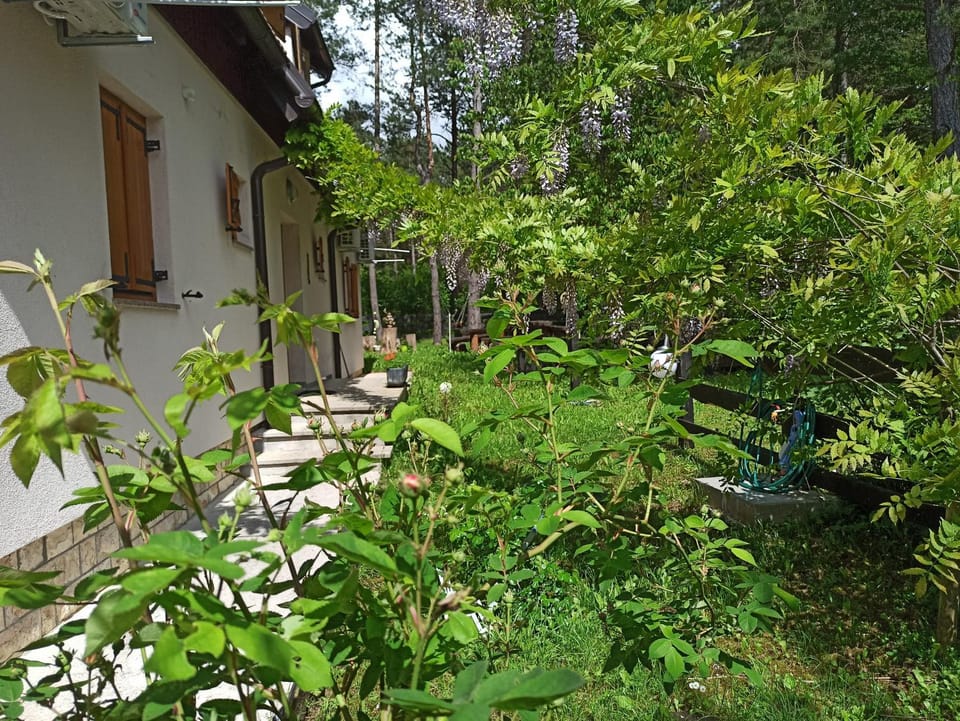Garden, Balcony/Terrace