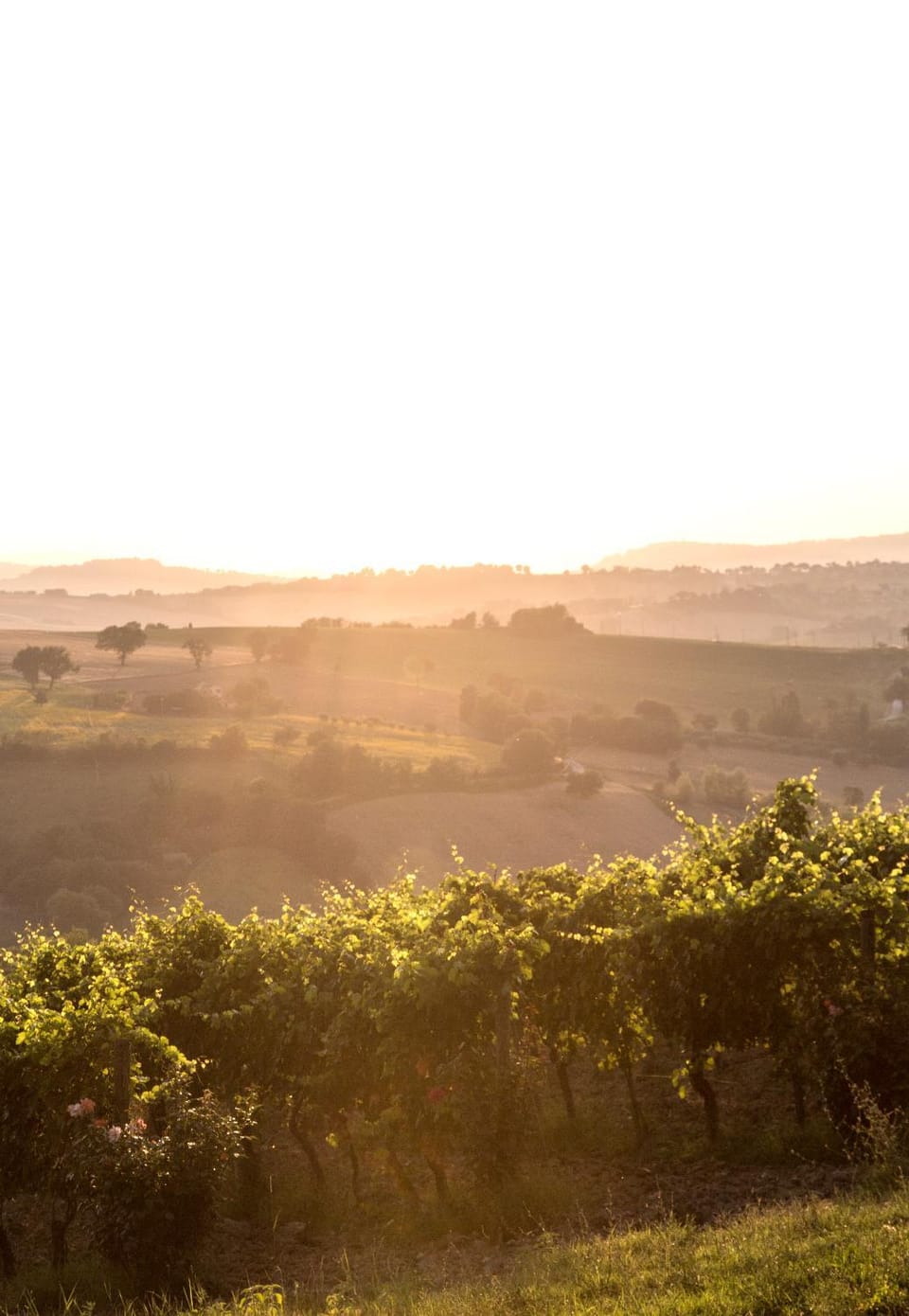 Nearby landmark, Natural landscape, Sunrise