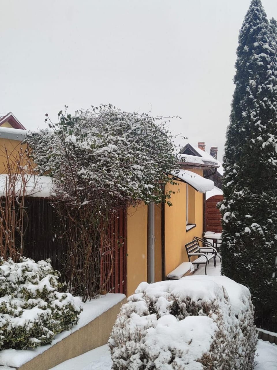 Property building, Winter