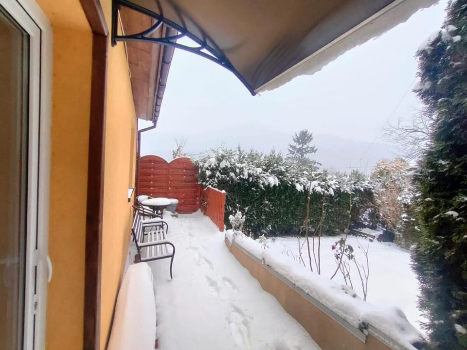 Winter
