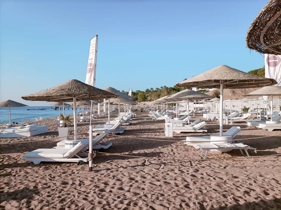 Beach, sunbed