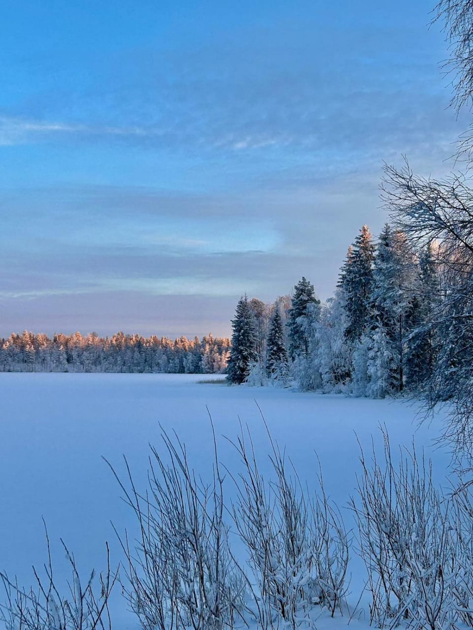 Traditional Lapland 2BR House with Private sauna Villa in Lapland