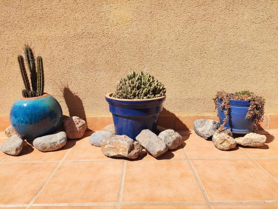 Casa Helios - Precioso ático con sol, mar y relax Apartment in La Alpujarra