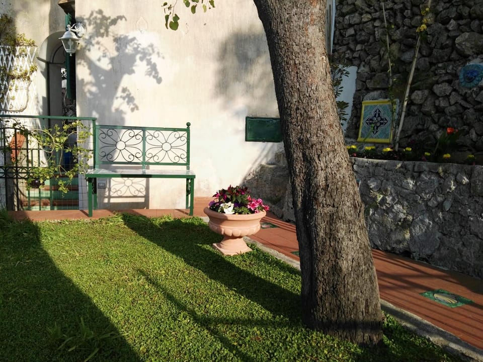 Garden, Decorative detail, Garden view