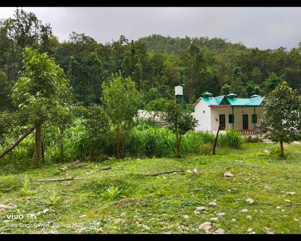 Natural landscape