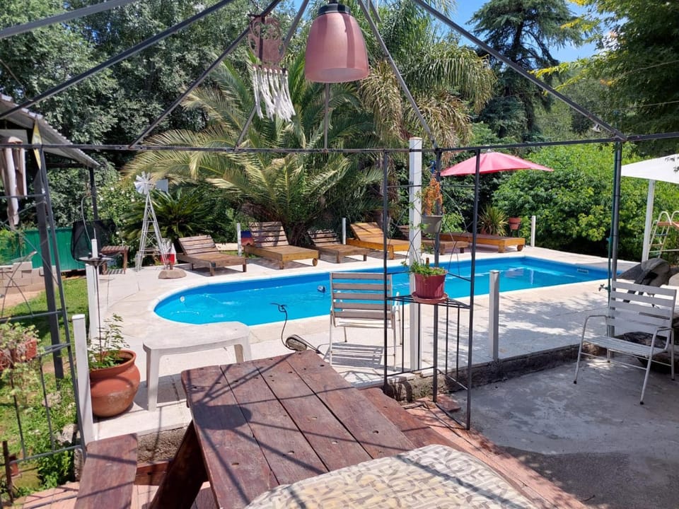 Patio, Garden, Pool view, Swimming pool, sunbed