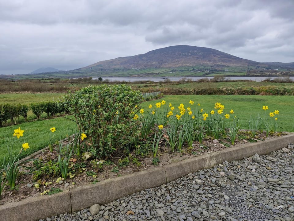 Villa Daffodil - Sleeps 2 & Stunning Seaside Views Villa in County Kerry