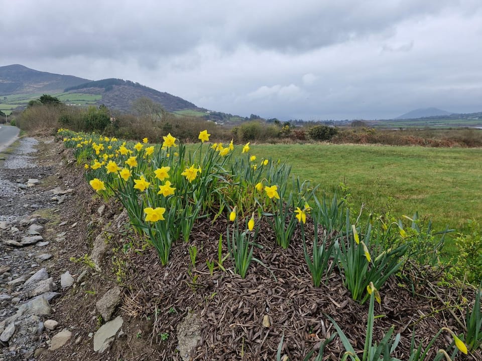 Villa Daffodil - Sleeps 2 & Stunning Seaside Views Villa in County Kerry