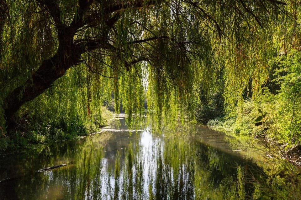 Le Moulin Inattendu, la Bonne Vie à 1h de Paris House in Île-de-France
