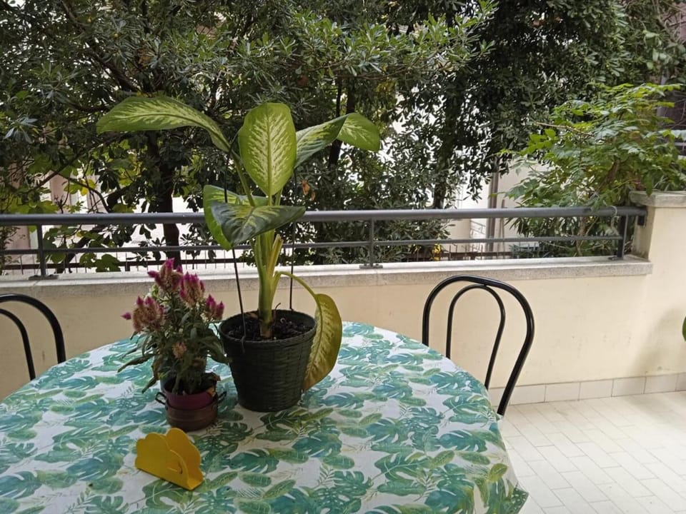 La casa di Dido House in Rimini