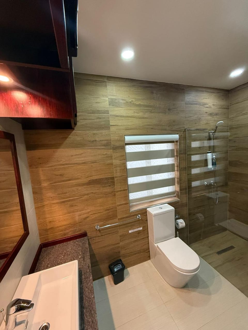 Shower, Toilet