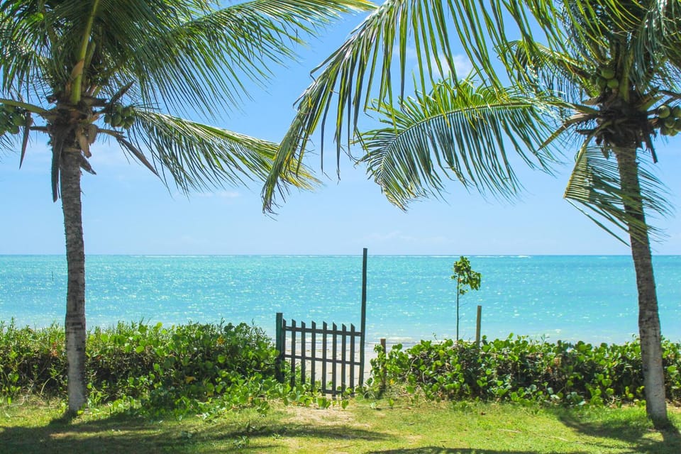 Day, Natural landscape, Garden, Beach, Garden view, Sea view