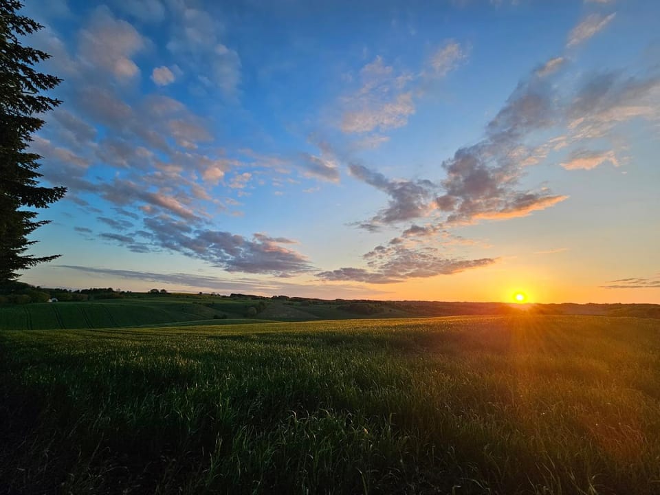 Neighbourhood, Natural landscape, Sunset